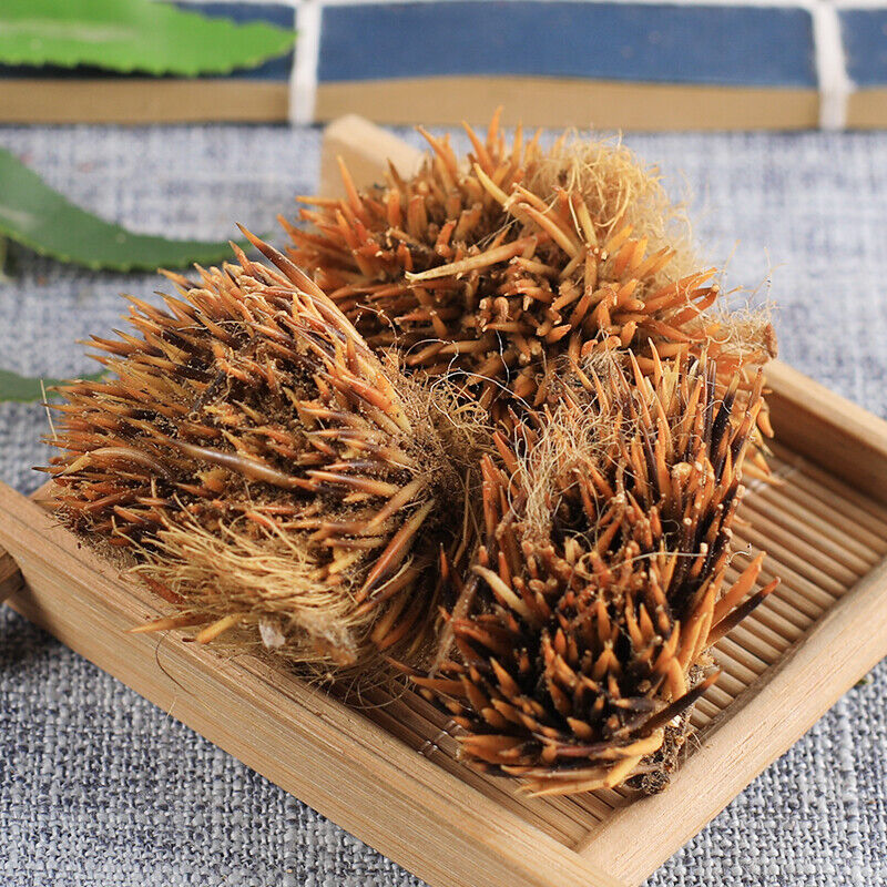 50g 100% Chinese Ciweipi Healthy Care Top-grade Authentic Hedgehog Skin 正品刺猬皮