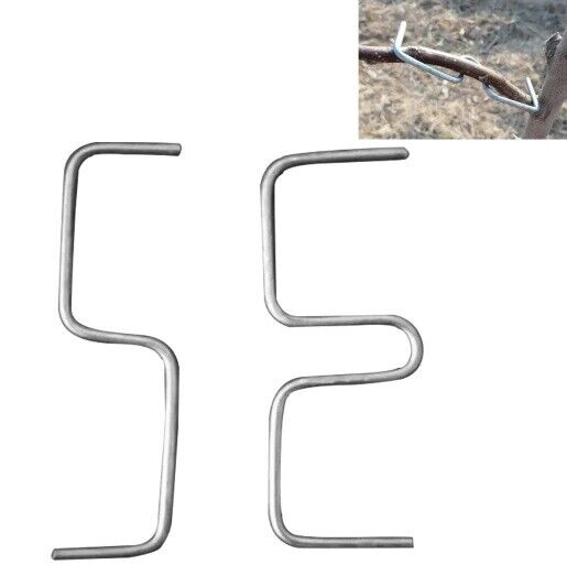 Bonsai Shaper Steel Wire Fruit Tree Twig Puller Plants Branch Bender 10 20 50Pcs