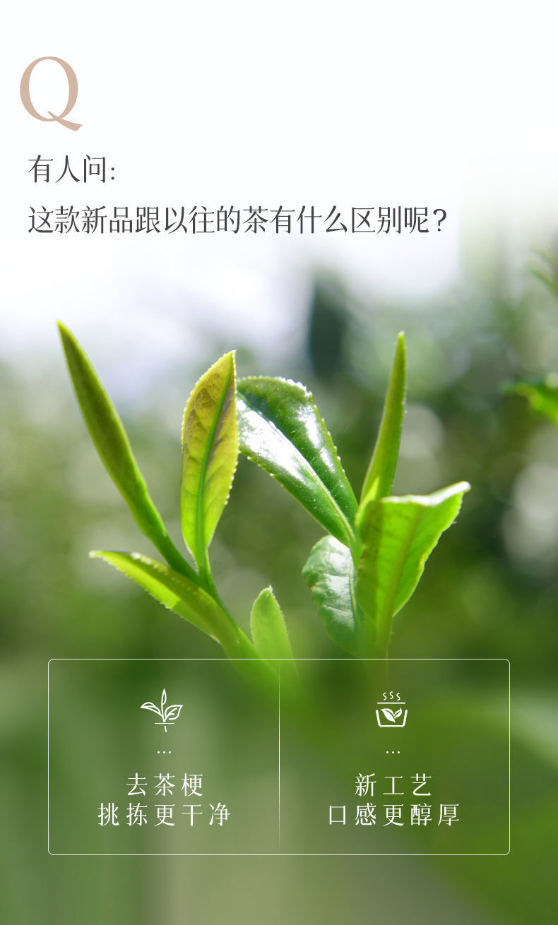 Jibian 2100 M High Mountain Oolong Tea New Taste New Craft Fragrance Tea 250g