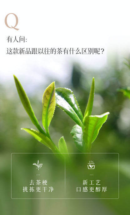 Jibian 2100 M High Mountain Oolong Tea New Taste New Craft Fragrance Tea 250g