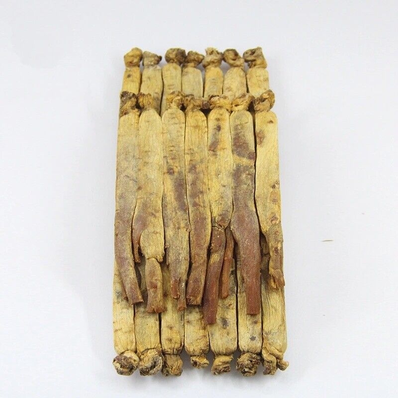 Korean Ginseng Root Offer 6Years Changbai shan Dry Ginseng Root 黄皮高丽参 600g/20pcs