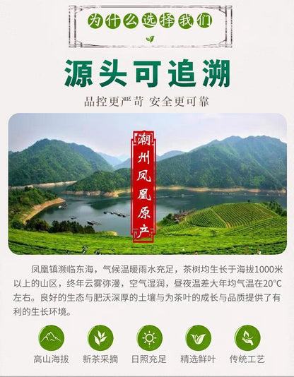 China Phoenix Dancong Yashixiang Oolong Tea Feng Huang Duck Feces Light Flavor