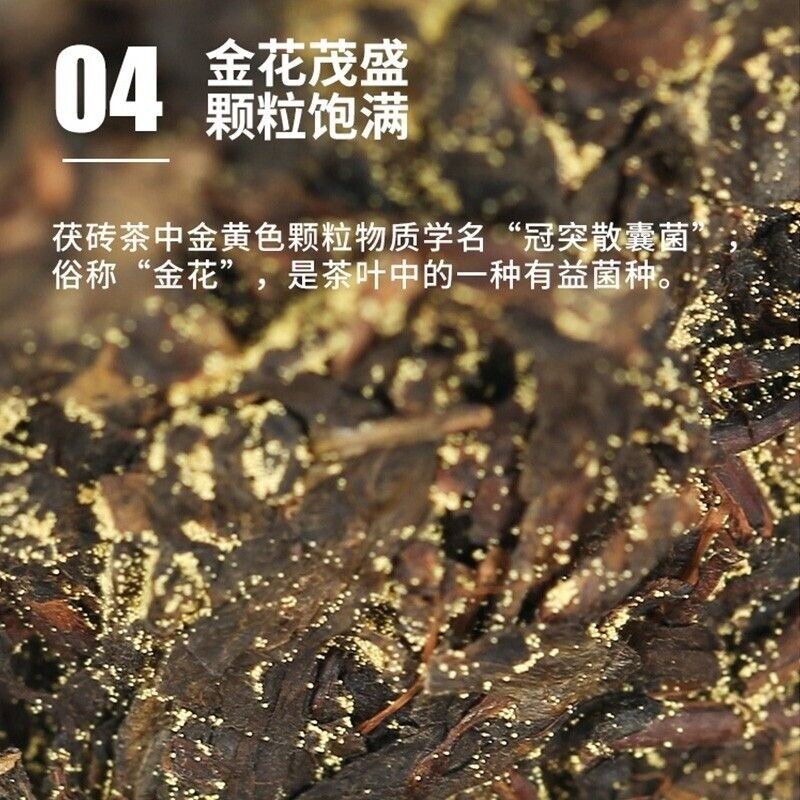 Black Tea Anhua Golden Flower Poria Handmade Golden Poria Black Tea 1kg