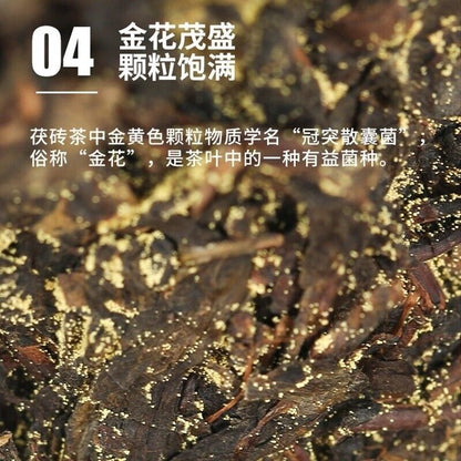 Black Tea Anhua Golden Flower Poria Handmade Golden Poria Black Tea 1kg