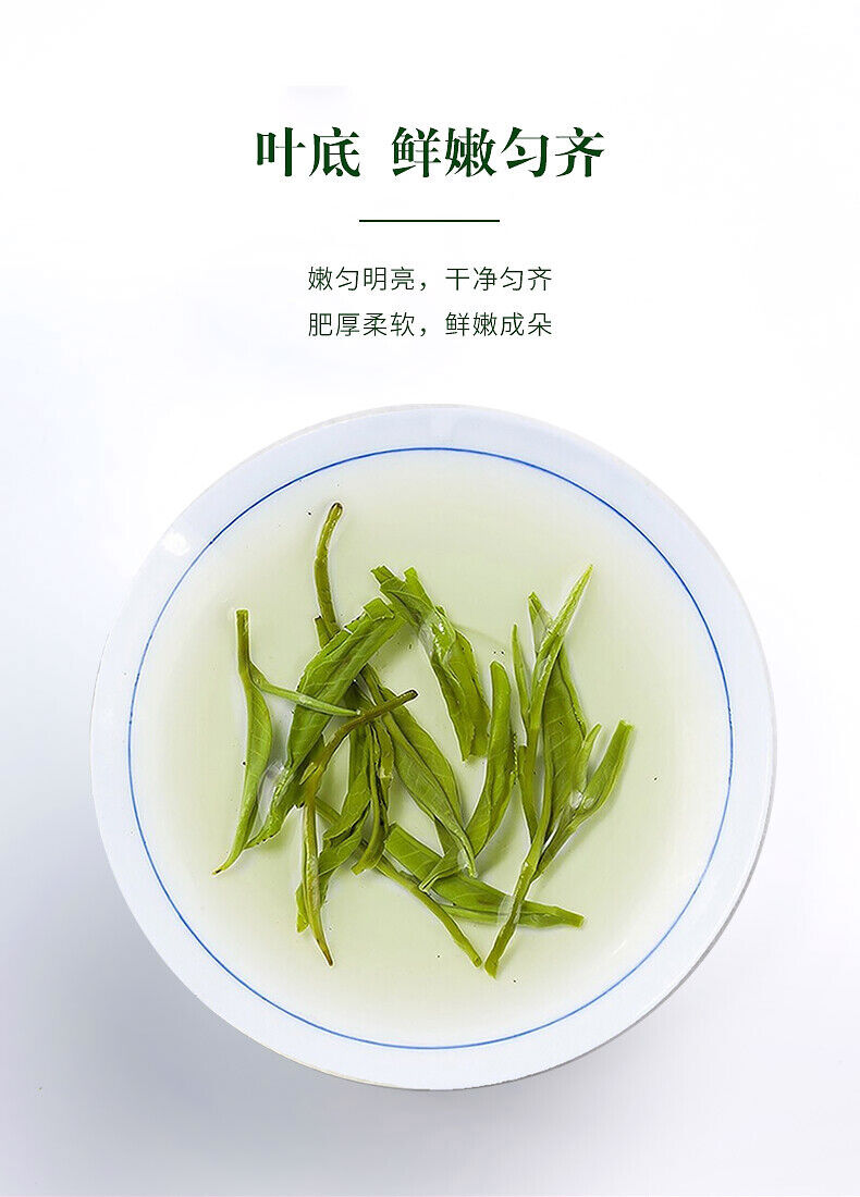 Premium En Shi Yu Lu Jade Dew Organic High Mountain Green Tea with Rich Selenium