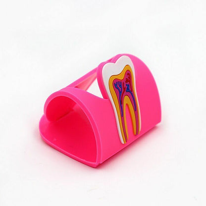 Dental Clinic Tooth Card Display Stands Colorful Rubber Teeth Molar Holder Decor