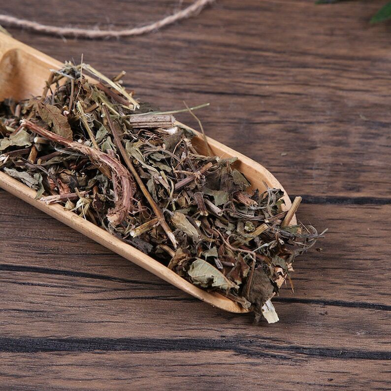 Organic Herbal Rabdosia Rubescens Herbal Rabdosiae Dong Ling Cao Great Quality
