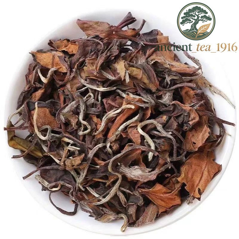 500g FuDing White Tea Shou Mei Tea Jujube fragrance Chen Xiang Old White Tea