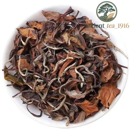 500g FuDing White Tea Shou Mei Tea Jujube fragrance Chen Xiang Old White Tea