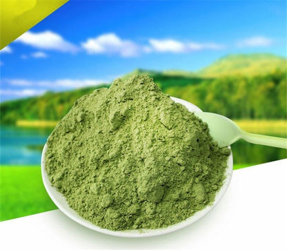 High Grade Natural Organic Japan Wheat Seedlings Grass Tea Extract Powder 100g