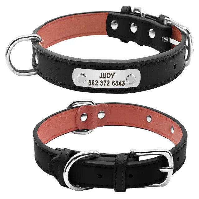 New Collar Para Perro Grande Y Durader, Personalizado De Piel Cuero Acolchado
