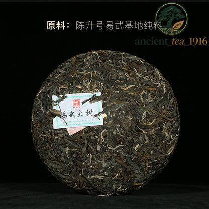357g 2019 Chen Sheng Hao Yi Wu Big Tree Puer Raw Tea Cake Base Pure Material