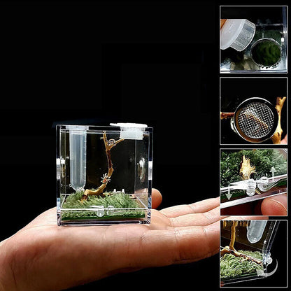 Ant Farms 3Pc Acrylic Clear Spider Insect Breathable Terrarium Reptile Breed Box