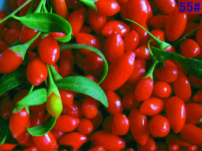 USDA CERTIFIED LARGE ORGANIC GOJI BERRY AAA++,1 LBS (NEW SHIPMENT) FRESH COLOR