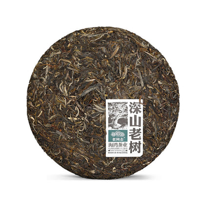2021 Haiwan Shen Puer Batch 211 "Remote Mountain Old Tree" Raw Puerh Tea 500g