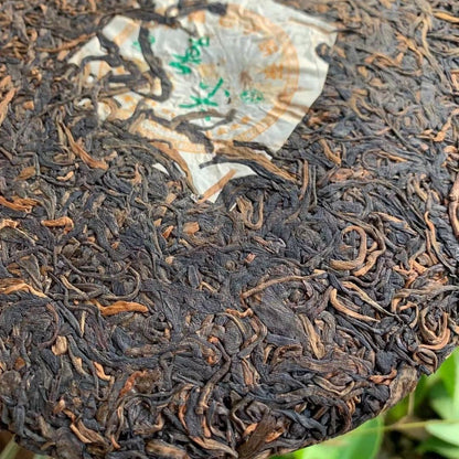 CHUN JIAN Spring Tip * 2006 Puwen Puer Tea Sheng YUNYA Pu Er Aged Puer Raw 400g