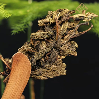 357g puer tea raw tea golden leaf cake Yunnan Sheng tea cake -