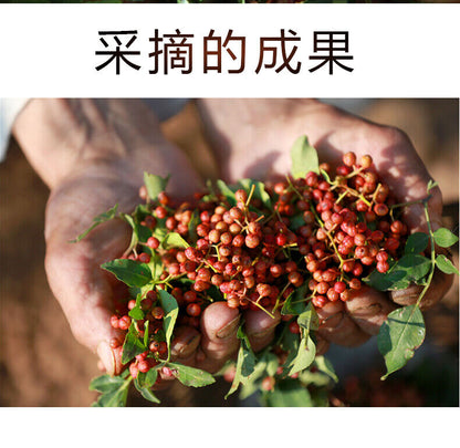 Sichuan Pepper Cooking Ingredient prickly seasoning Peppercorns 四川花椒麻辣