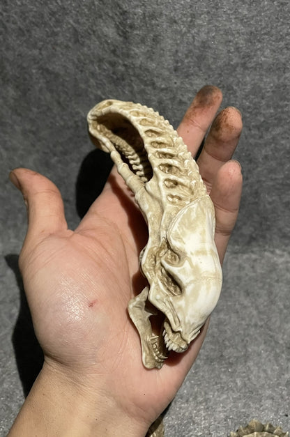 Alien Xenomorph Skull bone model For 1/6 Model Scene