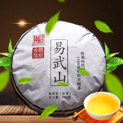 Yunnan Pu Erh Tea 100g Chinese cha Puer Tea Health Care Premium Tea Green Food
