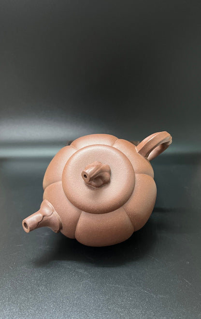 270cc chinese Yixing Handmade Zisha Dicaoqing clay Teapot DeGuo Hu Tea Pot