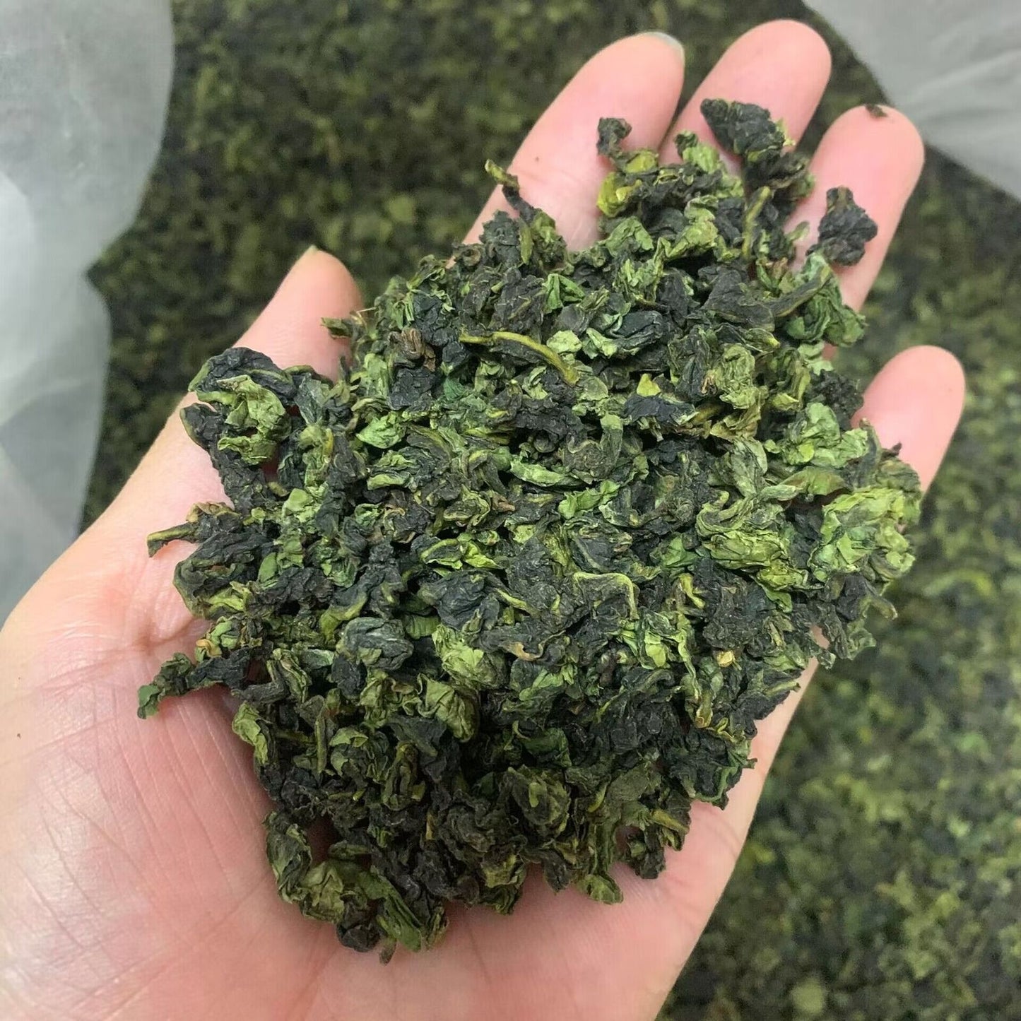 Organic orchid aroma oolong tea TieGuanYin Oolong Natural Tea 32bags 250g/8.8oz