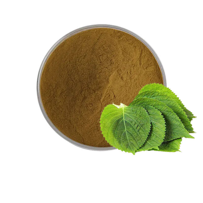 100g~500g Natural Pure Mulberry leaf Extract Powder 10:1