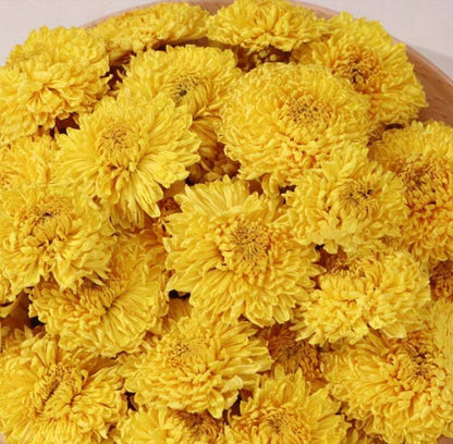Golden Chrysanthemum Tea,Dry Golden Chrysanthemum Tea Flowers Tea,chinese Tea