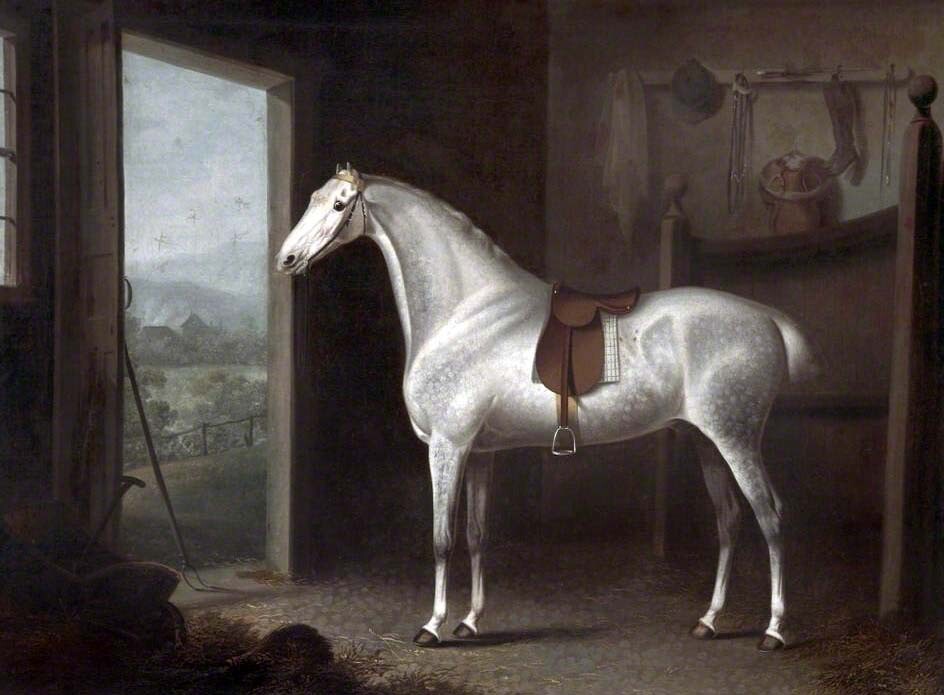 Oil painting Dappled-Grey-Horse-Saddled-in-a-Stable-Charles-Towne-oil-painting