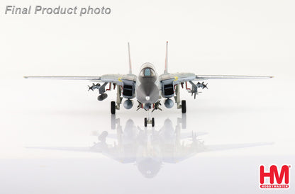 1:72 HM Grumman F-14D Tomcat VF-31 The Last Tomcat Cruise Fighter Diecast Model