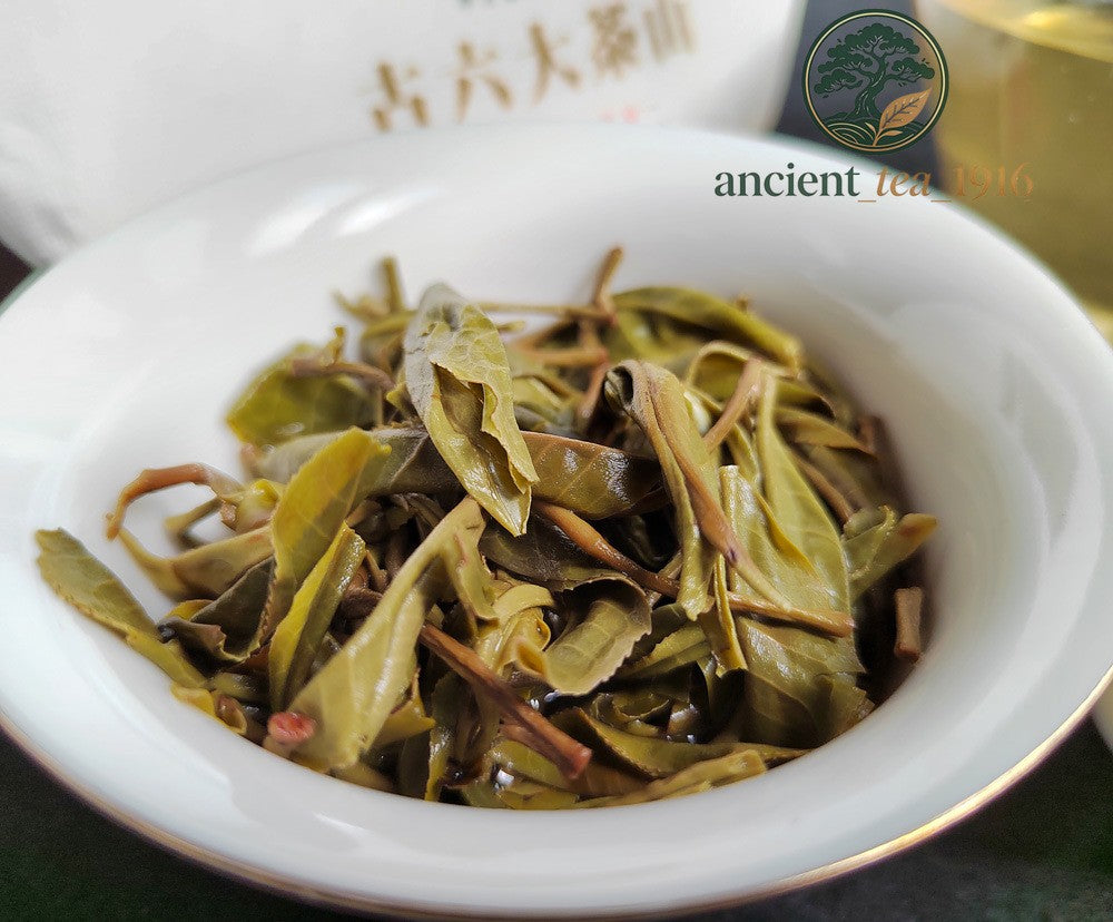 357g Ancient Tree Yunnan Pu'er Tea Raw Tea Yi Wu Tea Cake