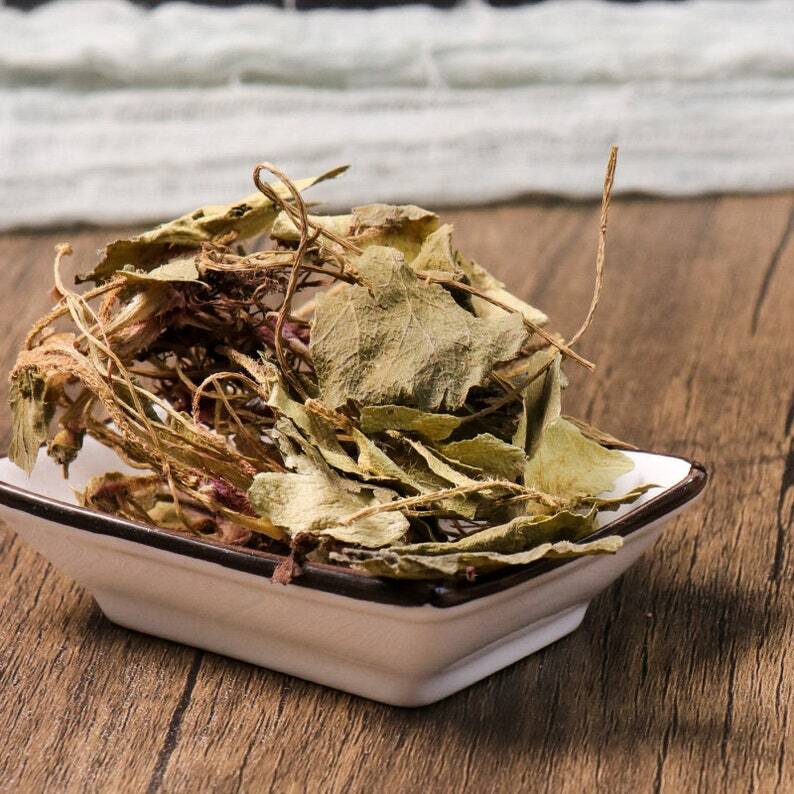 Organic Herbal Saxifraga Stolonifera Herbal Saxifragae Healthy Tea