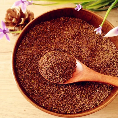 Dodder 菟丝子泡水菟丝子 补益肝肾 腰膝酸软 头晕耳鸣 须发早白 100g~500g Chinese Herbs