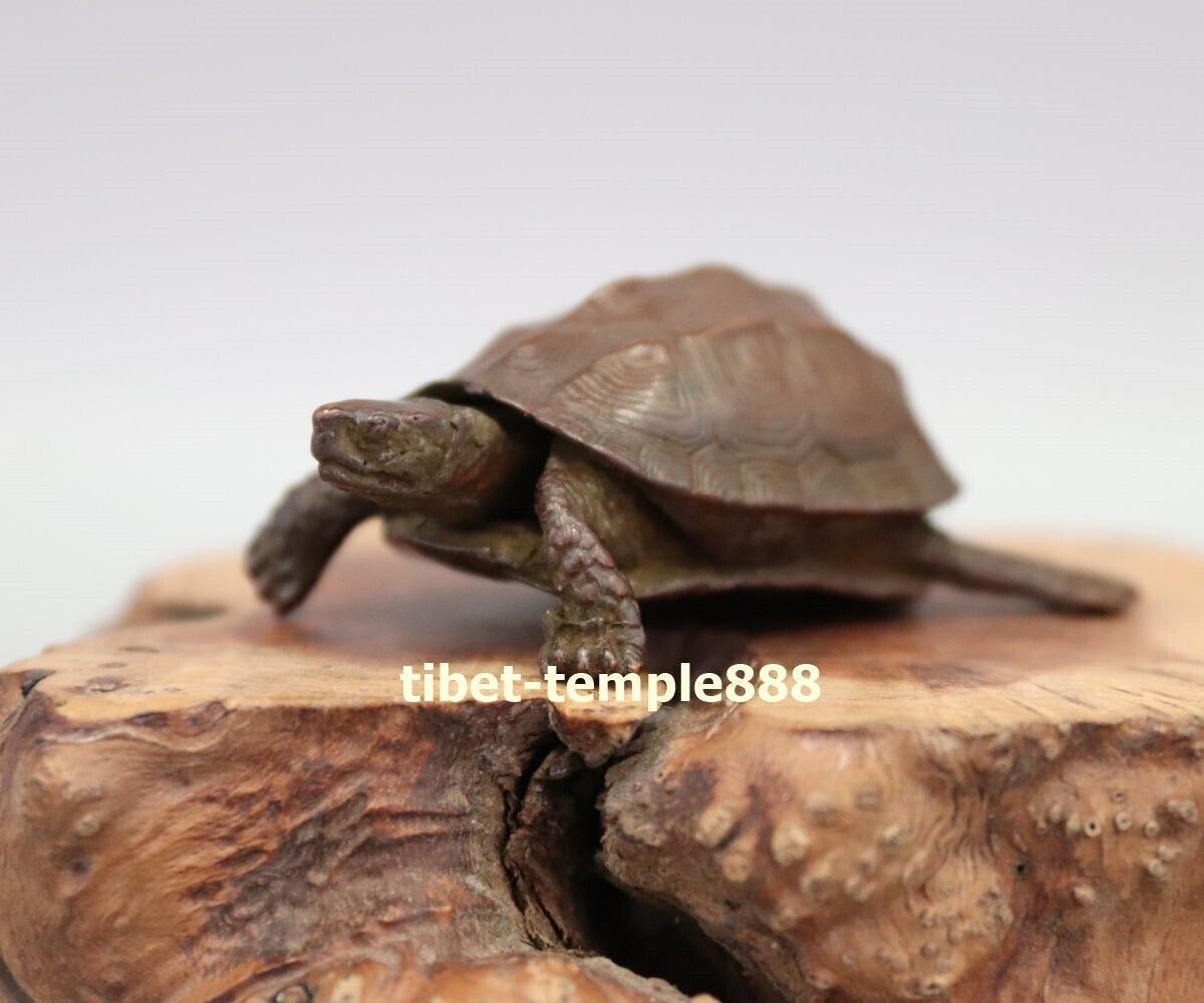 2.16" Chinese Pure Bronze Amulet Tortoise Turtle longevity Fengshui Sculpture