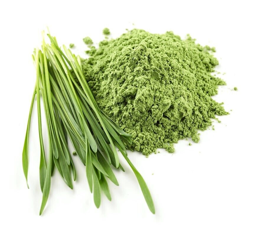 Organic Barley Grass Powder - 500g - PURE VEGAN SUPER GREENS SUPERFOOD POWDER