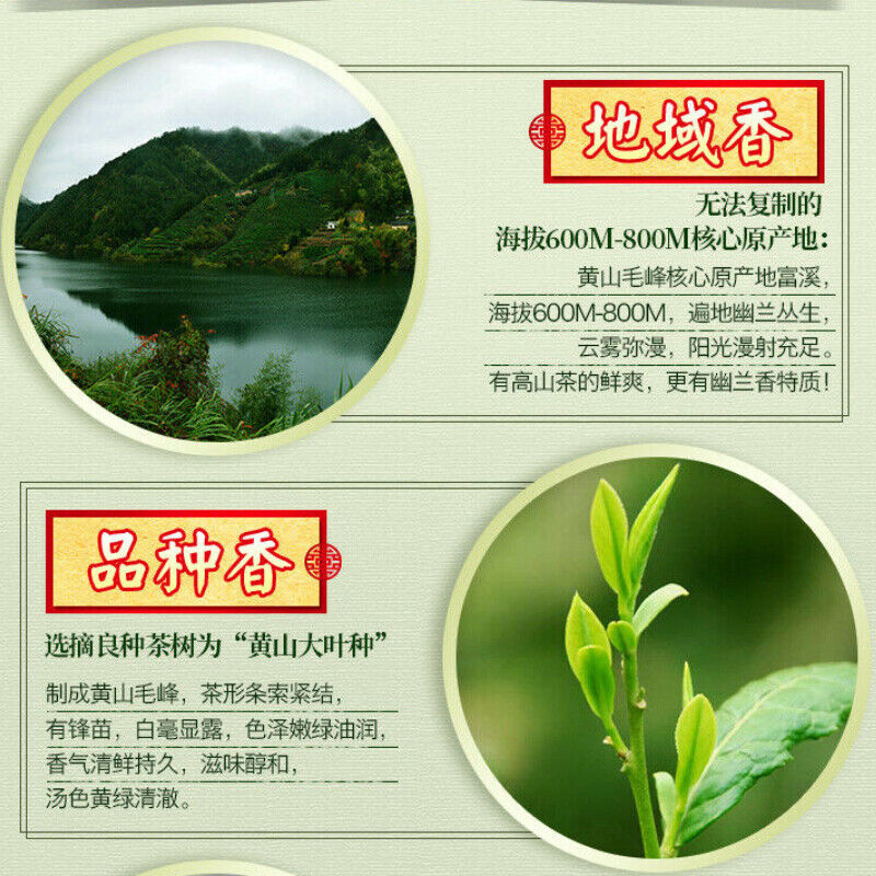 Xieyu Green Tea Chinese High Mountain Green Tea