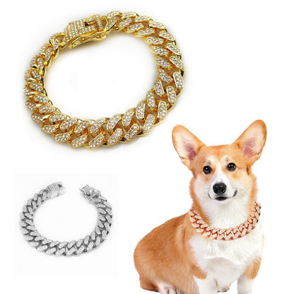 Hip Hop Collars for Pets – Fashionable & Durable