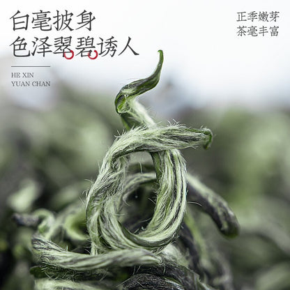 Duyun Maojian Tea 2025 New Tea Spring Tea Strong Aroma Type Green Tea 500g
