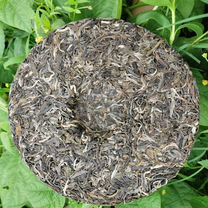357g Zhonghong Yin Bow Ancient Tree Tea Yiwu Wanggong Pu-Erh Spring Tea Cake