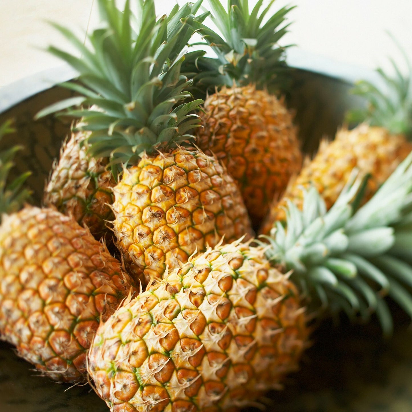 Dried organic pineapple fruit powder/flour/Tidbits/Rings premium grade A Quality