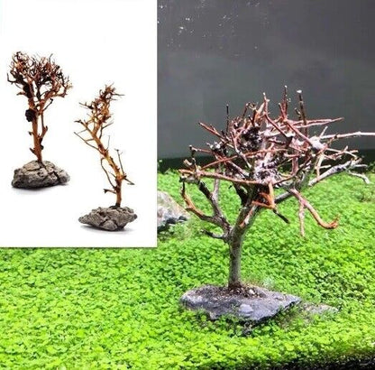 Aquarium Decoration Fish Tank Driftwood Moss Tree Purple Teak Wood Trunk 10-25cm