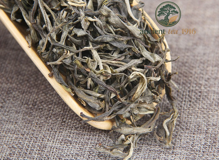 500g 2023 Yunnan Spring Tea Lincang Ancient Tree Raw Tea Pu'er Tea