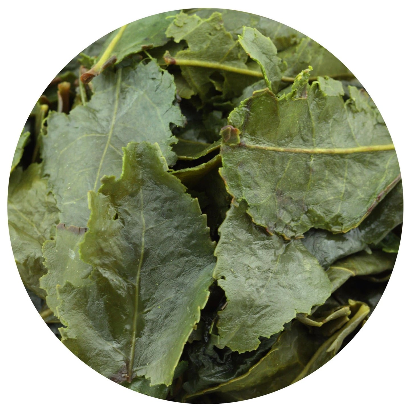 Supreme Tie Guan Yin Oolong Tea Fujian Anxi High Mountain Iron Goddess 250g