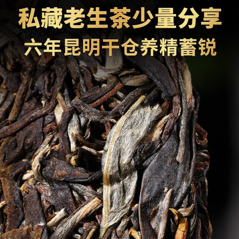 200 克老挝禁令张普二茶生茶2017春茶武柴古树茶-
