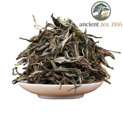 500g 2025 Pu'er Yunnan Lincang Mengku Ancient Tree Raw Tea Pu'er Tea