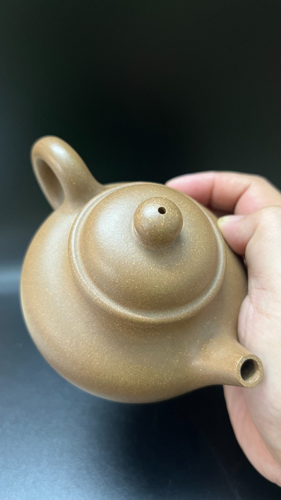 250cc chinese Yixing Handmade Zisha teapot Duan Clay RongTian Gongfu Hu Tea Pot