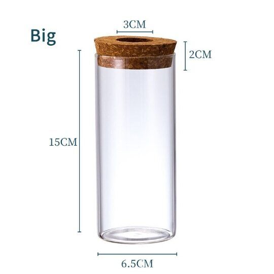 Glass Decorative Vase Hydroponic Glass Bottle Hydroponic Ecological Bottle