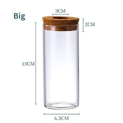 Glass Decorative Vase Hydroponic Glass Bottle Hydroponic Ecological Bottle