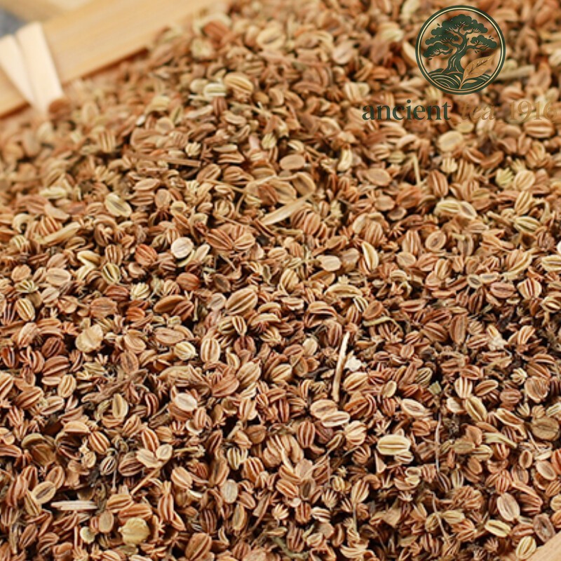 500g Premium Natural Cnidium Shechuangzi Healthy Herbal Tea Chinese Herb