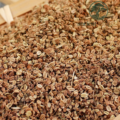 500g Premium Natural Cnidium Shechuangzi Healthy Herbal Tea Chinese Herb